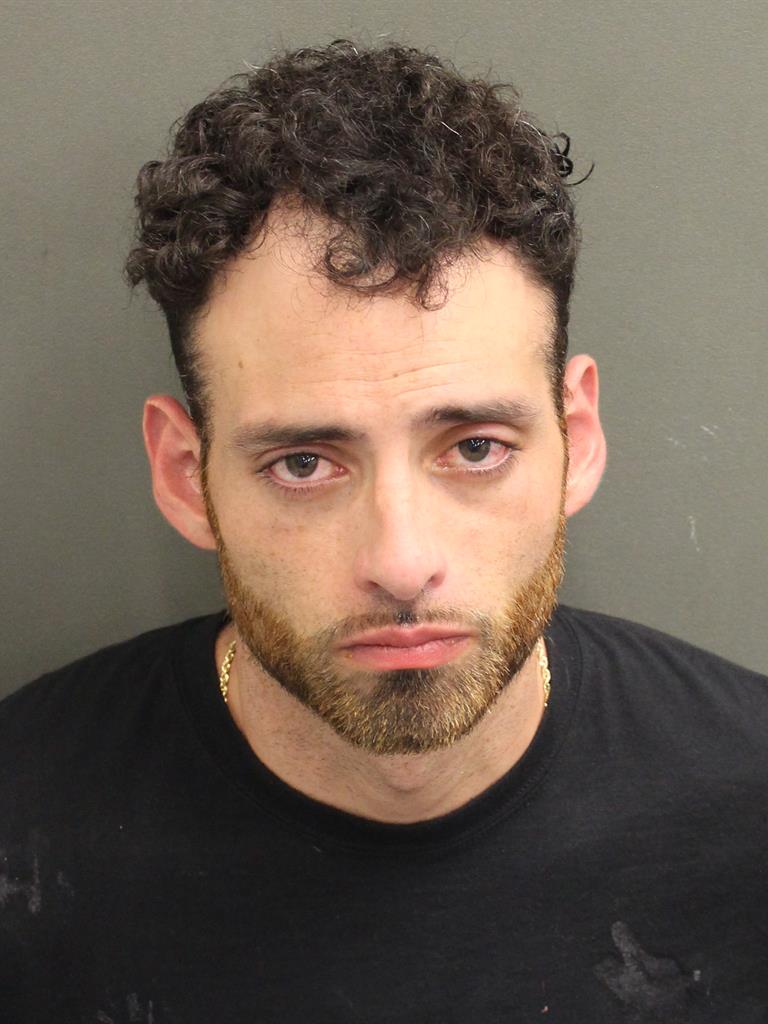  ALEXANDER HICKS Mugshot / County Arrests / Orange County Arrests