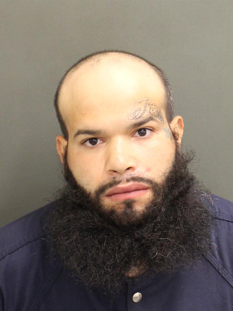  SHANNON CHASE SOLIVAN Photo Image