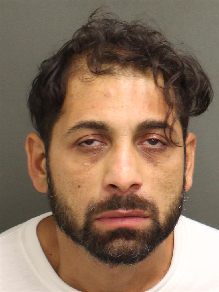  MICHAEL DAVIDO Mugshot / County Arrests / Orange County Arrests