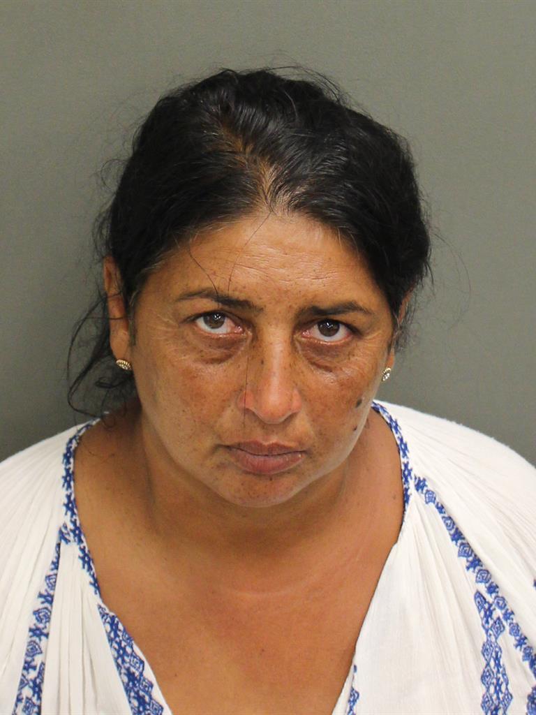  CONSTANTA PREDA Mugshot / County Arrests / Orange County Arrests