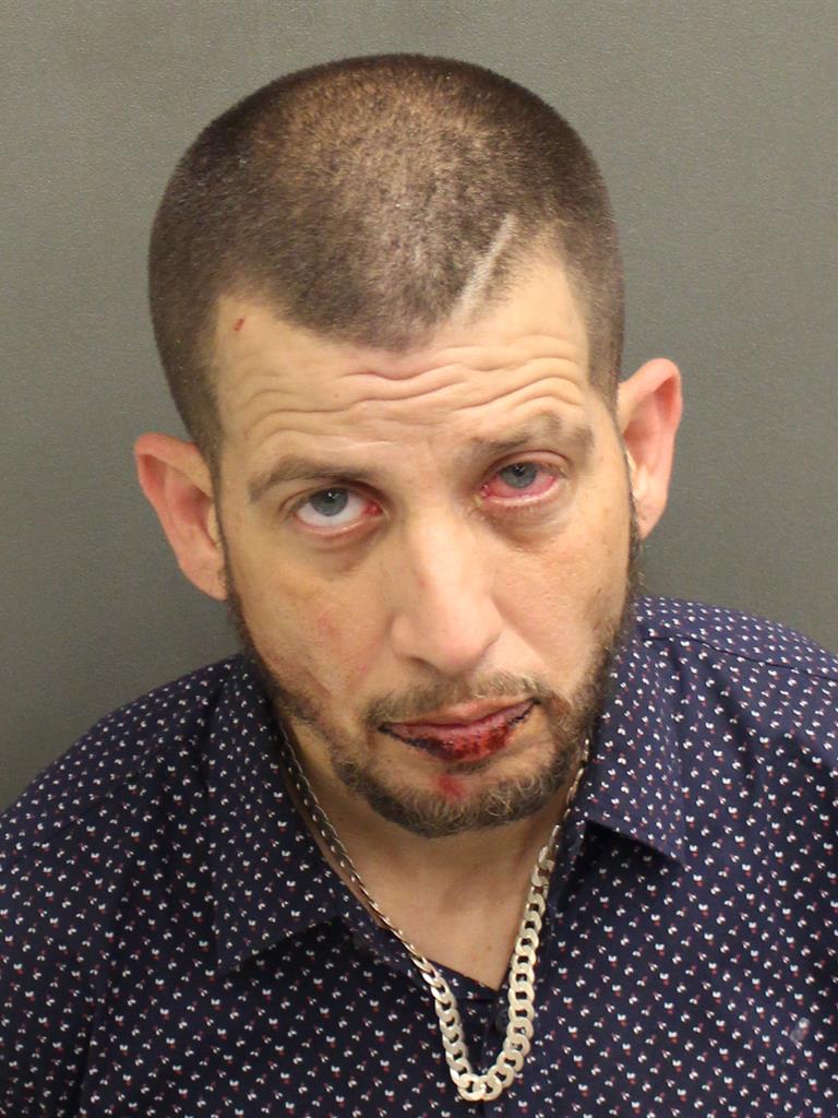  RYAN DAVID DWYER Mugshot / County Arrests / Orange County Arrests