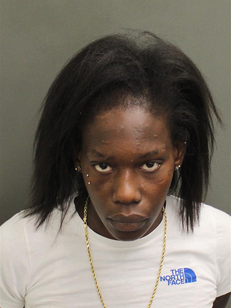  AMBER SHINICE DOZIER Mugshot / County Arrests / Orange County Arrests