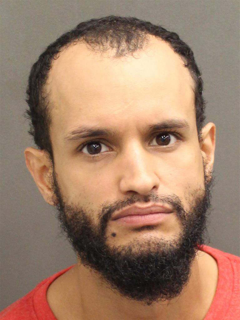  LUIS ENRIQUE CANABAL Mugshot / County Arrests / Orange County Arrests