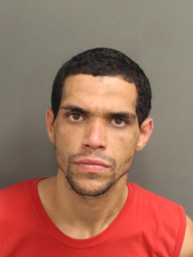  LUIS LOZADA Mugshot / County Arrests / Orange County Arrests
