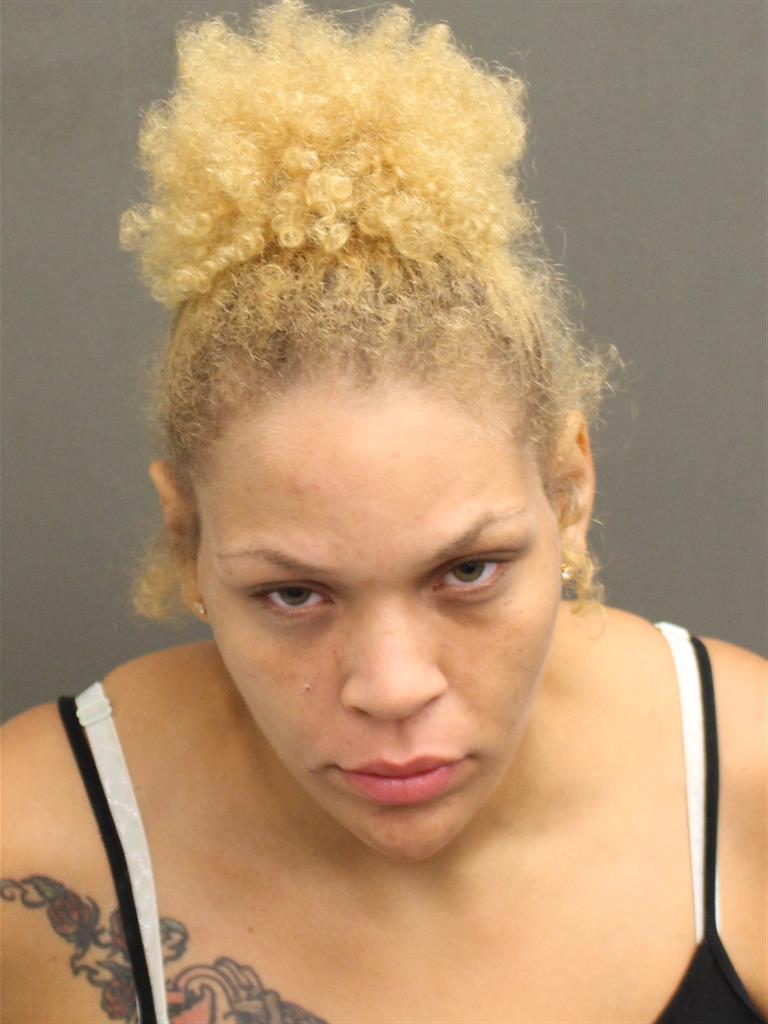  NICOLE VANDERSLUIS CORALYNN Mugshot / County Arrests / Orange County Arrests