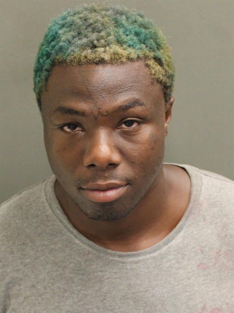  RAKEL RICHARDSON Mugshot / County Arrests / Orange County Arrests