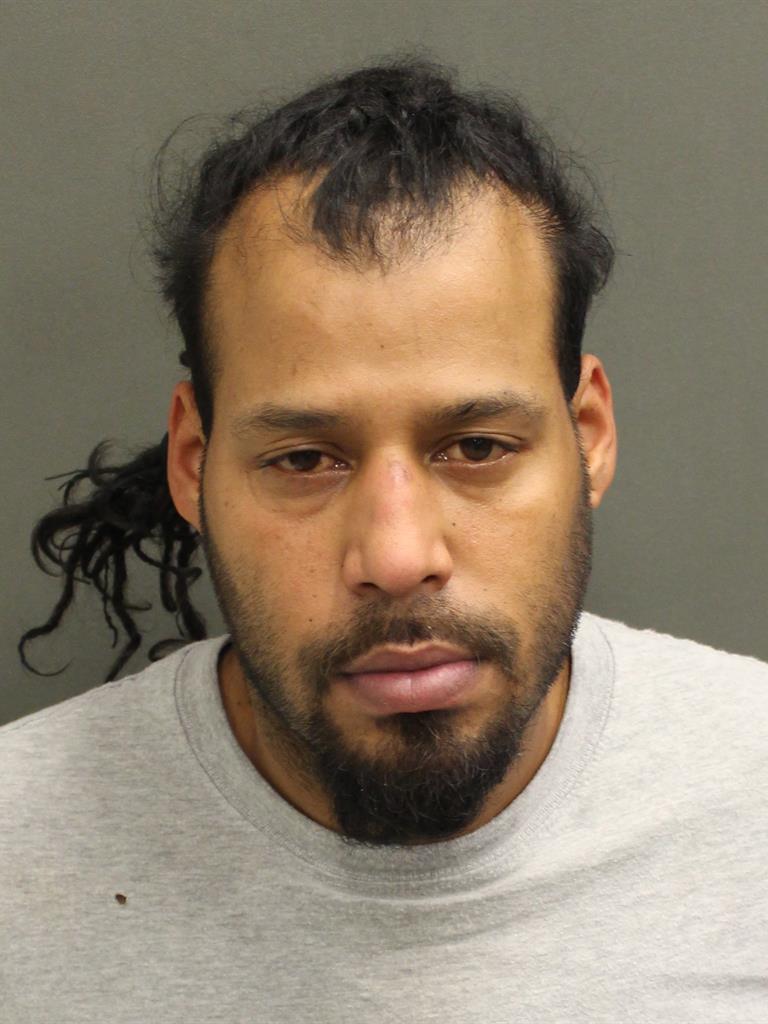  LUIS  JR ROSALY Mugshot / County Arrests / Orange County Arrests