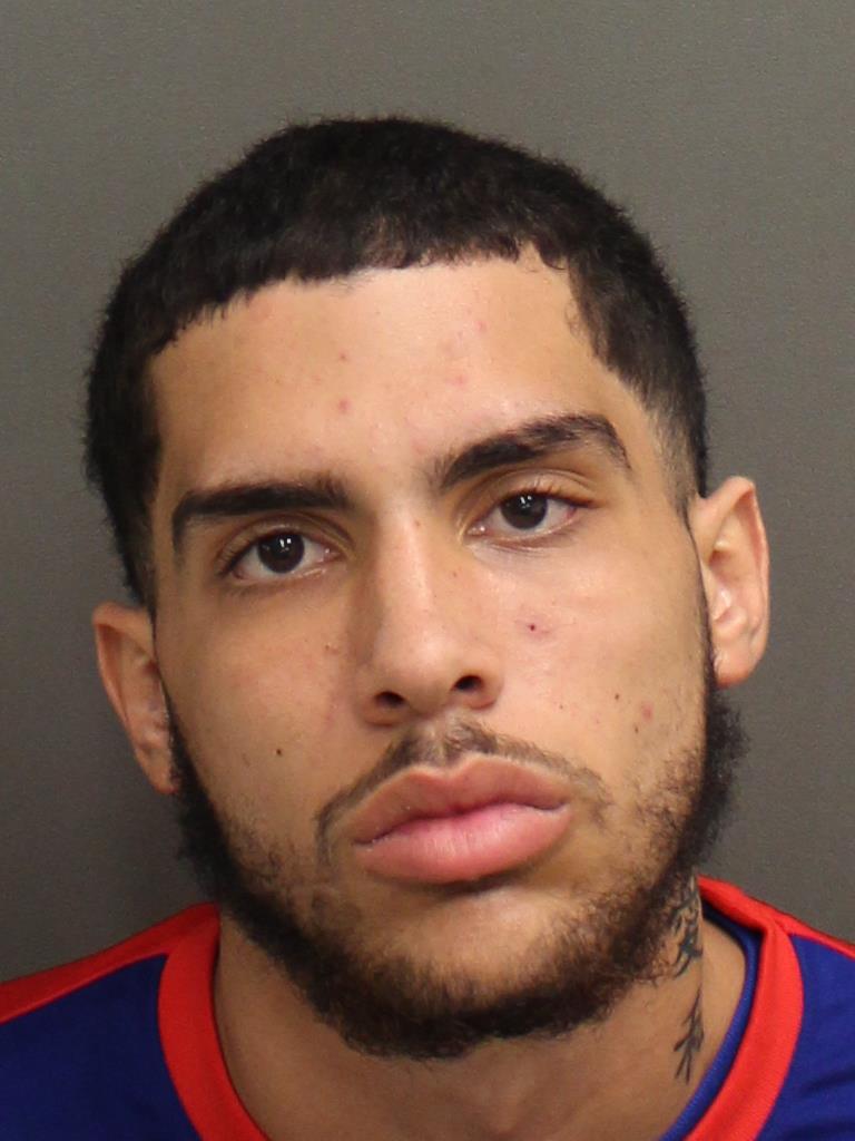  BRAD MITCHEL WINTER Photo Image