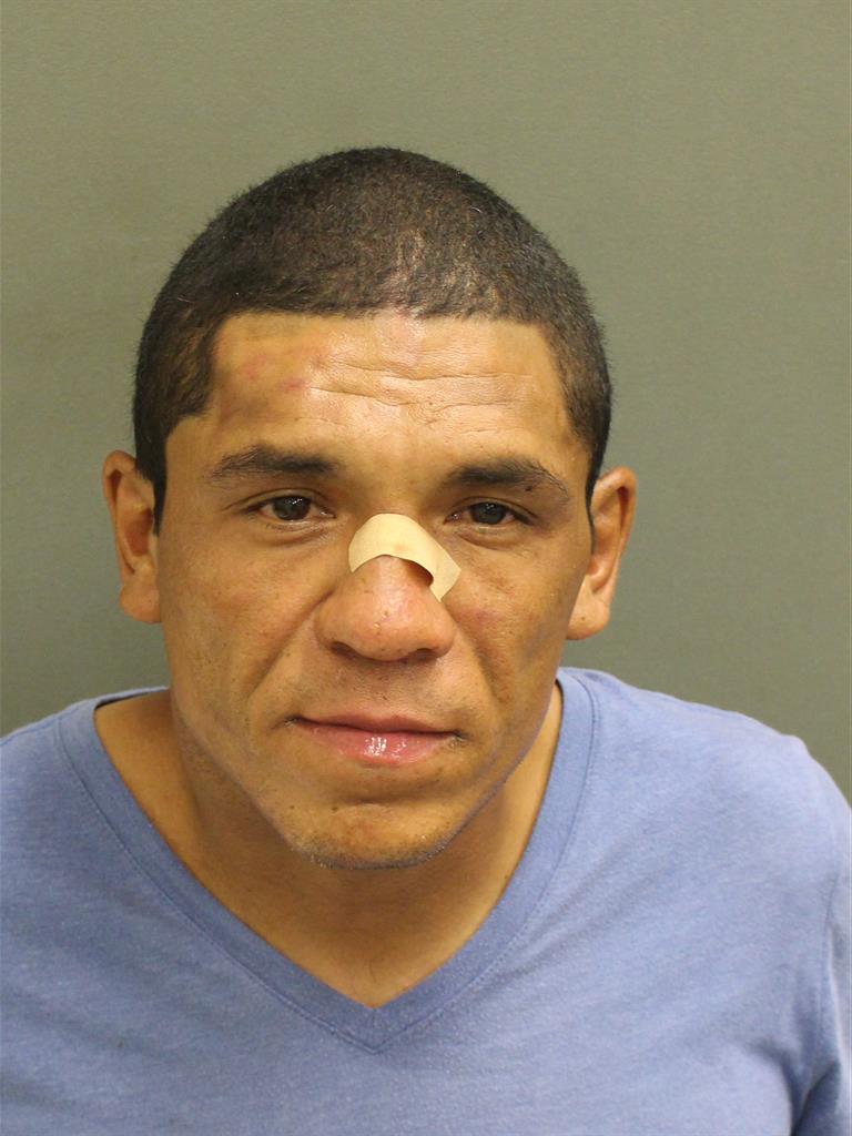  GREGORY PALACIOS Mugshot / County Arrests / Orange County Arrests