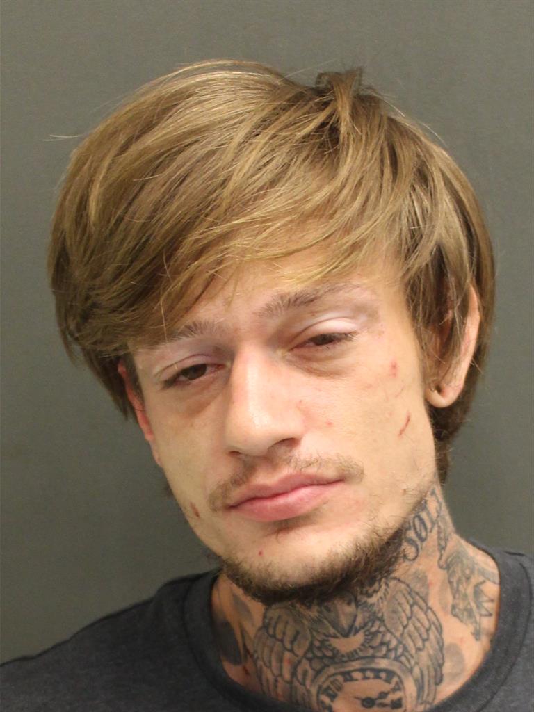  BRANDON COLE PALMER Mugshot / County Arrests / Orange County Arrests