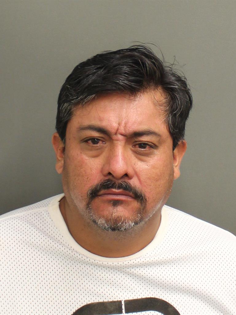  FLAVIO PAURARAMIREZ Mugshot / County Arrests / Orange County Arrests