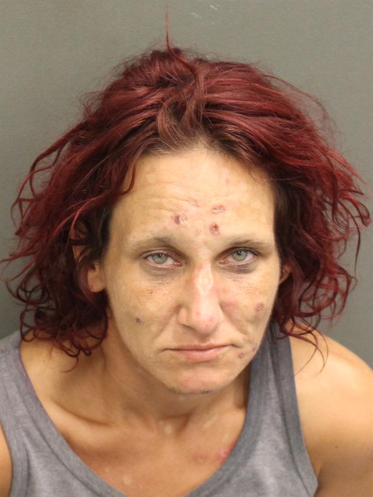  SARAH JEAN JOHNS Mugshot / County Arrests / Orange County Arrests