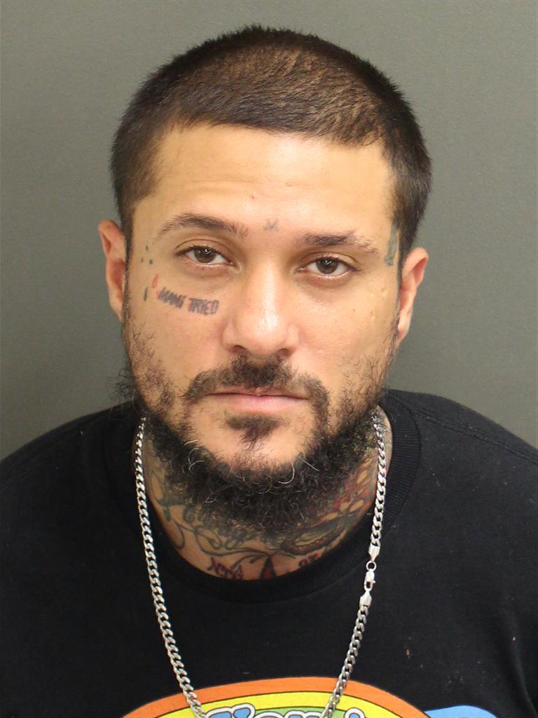  SANDY EMANUEL SILVALAGARES Mugshot / County Arrests / Orange County Arrests