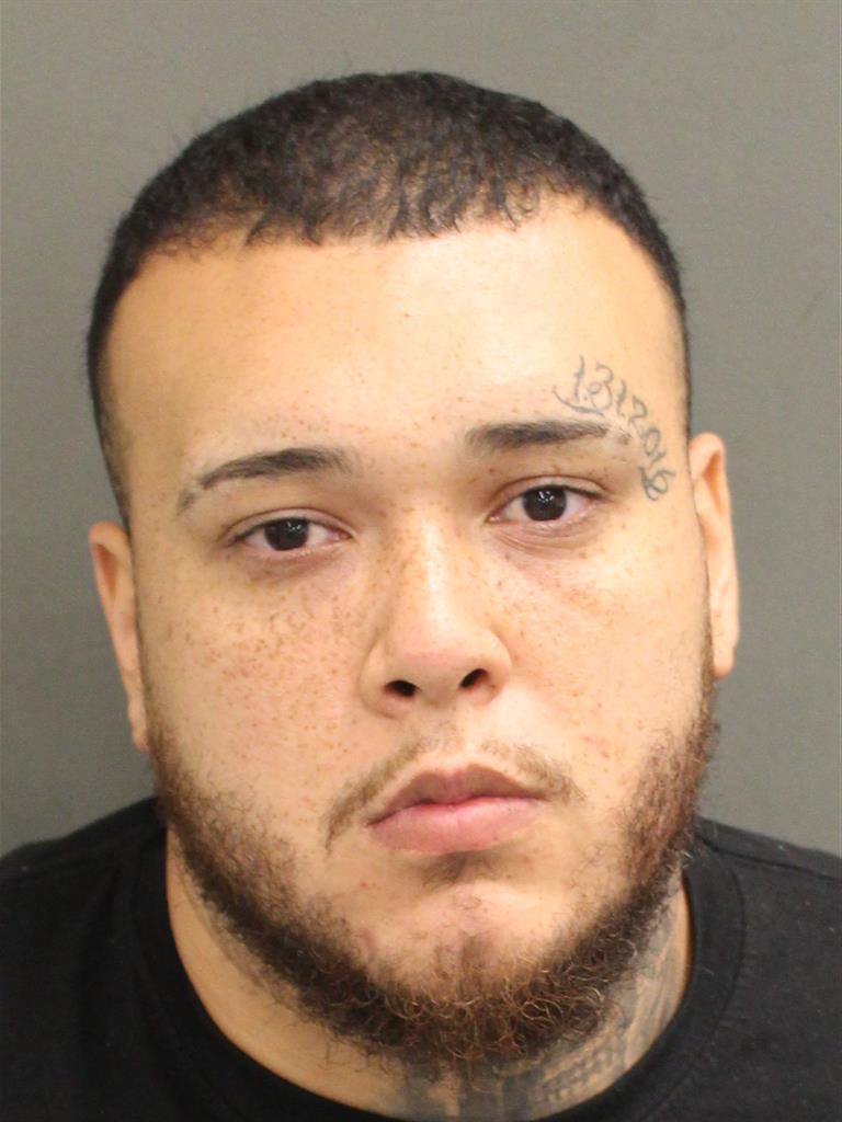  LUIS ORLANDO JR SUAREZ Mugshot / County Arrests / Orange County Arrests