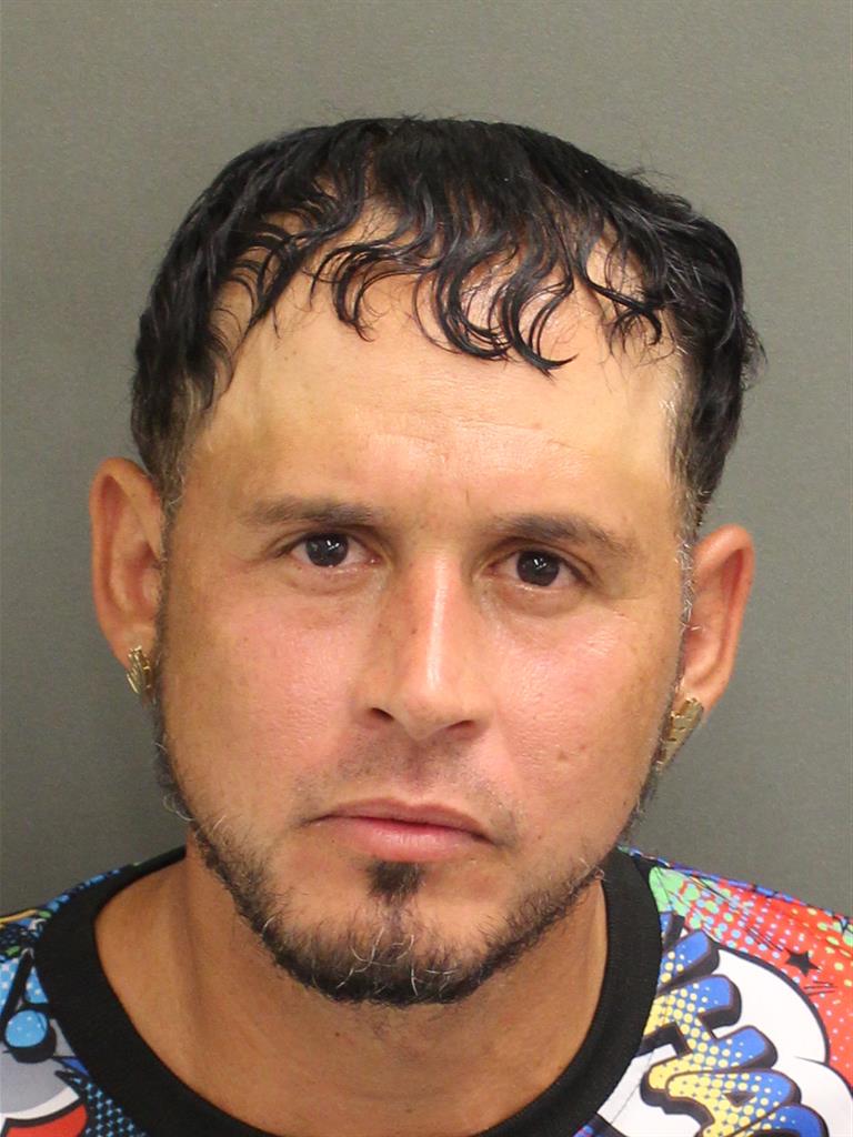  LUIS ANGEL SUAREZCASTRO Mugshot / County Arrests / Orange County Arrests