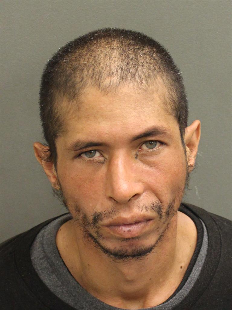  NEIL WAGNER ARCE Photo Image