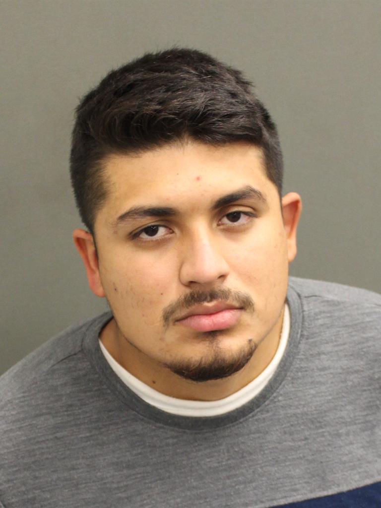  BLAS ALEMAN ALANIS Mugshot / County Arrests / Orange County Arrests