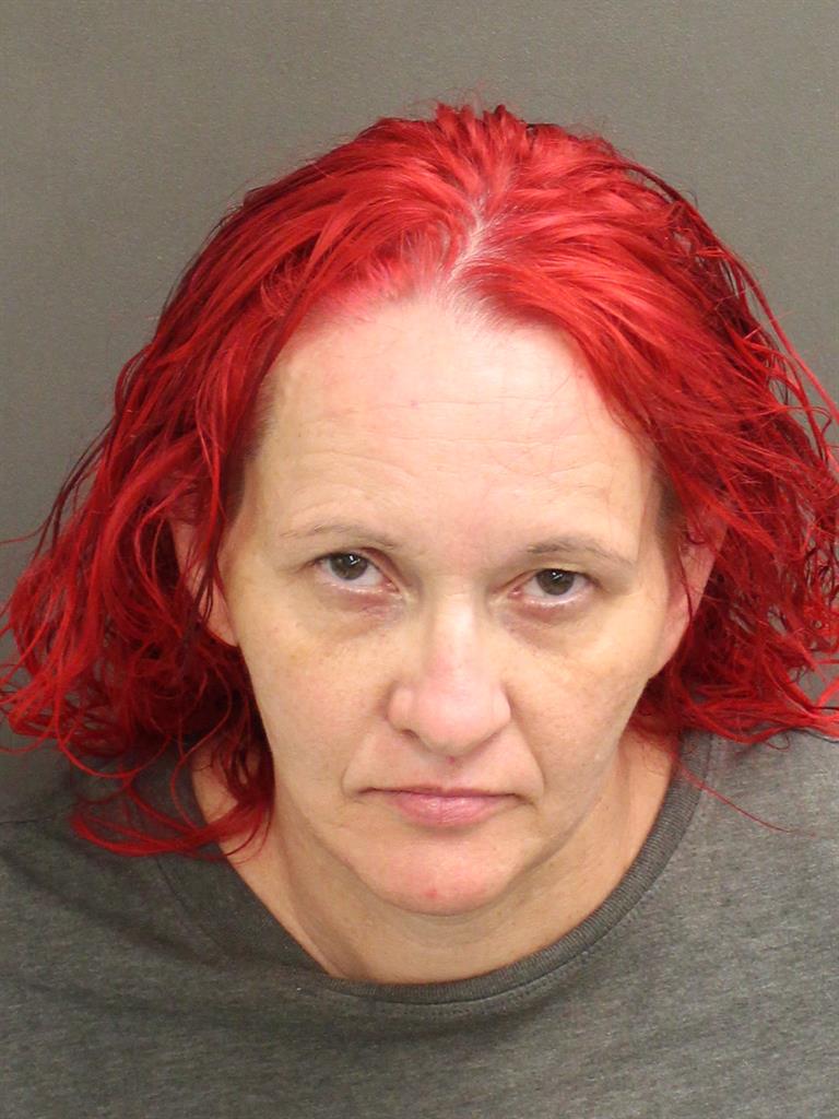  HEATHER LORAINE DAUGHTRY Mugshot / County Arrests / Orange County Arrests