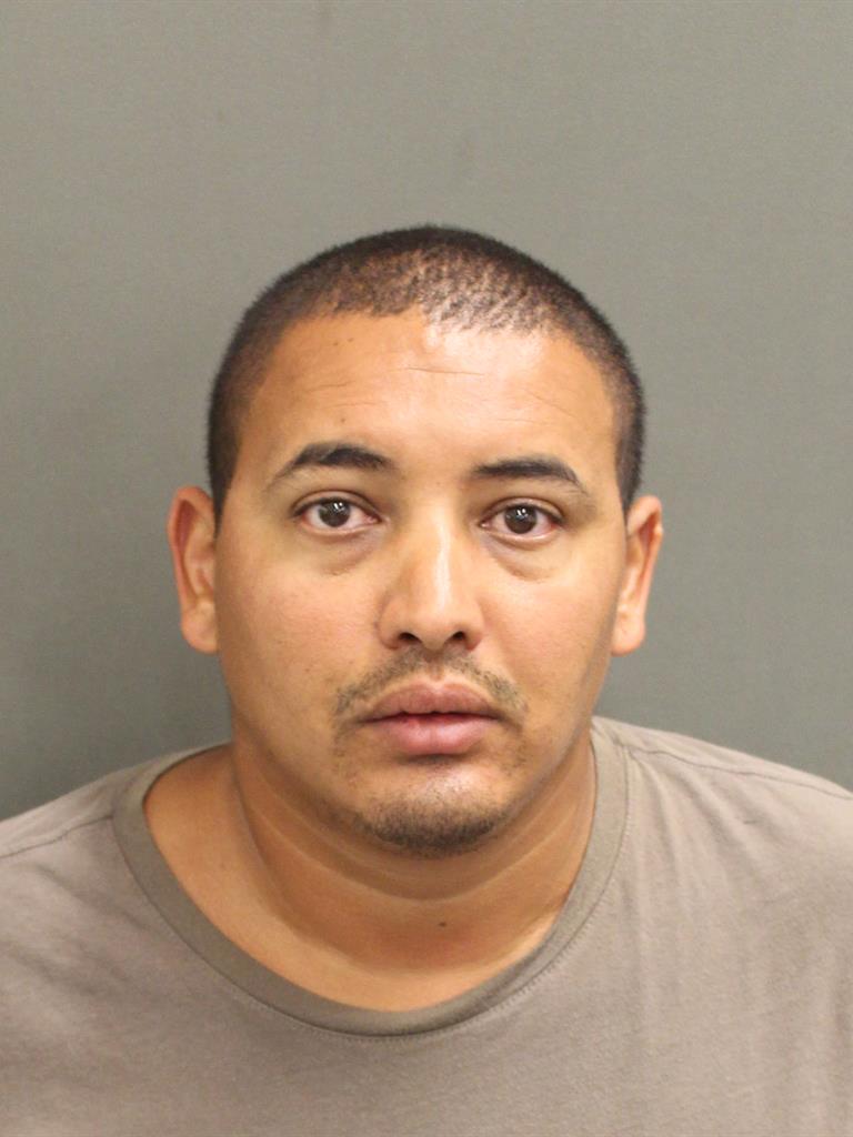  ALI SAMSAM Mugshot / County Arrests / Orange County Arrests