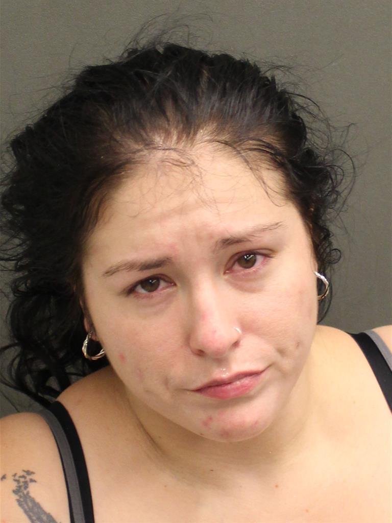  SARA ANN ANDERSON Mugshot / County Arrests / Orange County Arrests