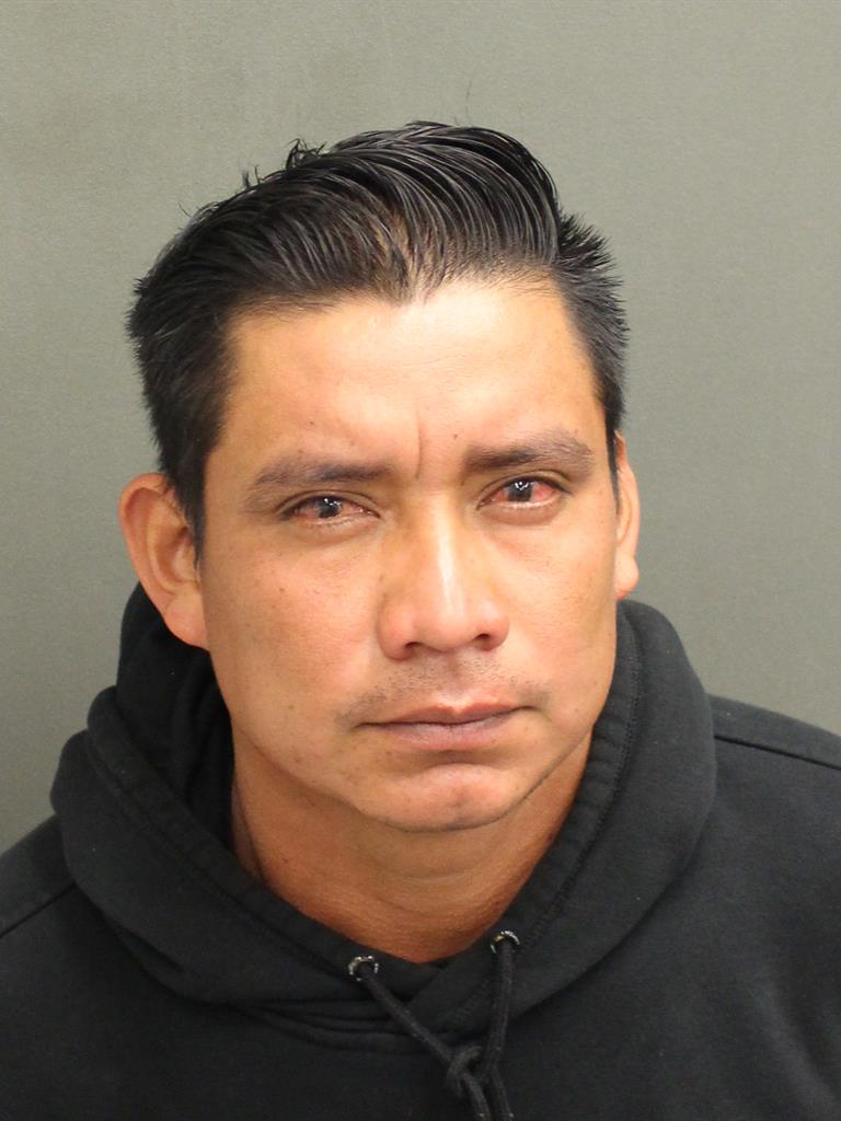  FELIPE DEJESUSALDAI CASTILLORAMIREZ Mugshot / County Arrests / Orange County Arrests