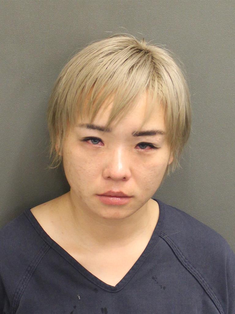  JANE DOE Mugshot / County Arrests / Orange County Arrests