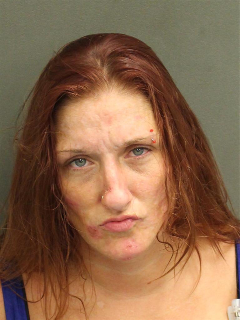  HOLLY ANN MCNULTY Mugshot / County Arrests / Orange County Arrests