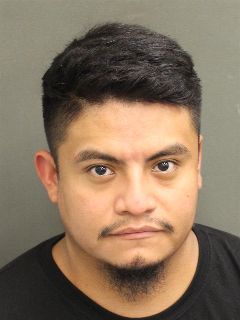  LUIS ALEXANDER PALACIOS Mugshot / County Arrests / Orange County Arrests