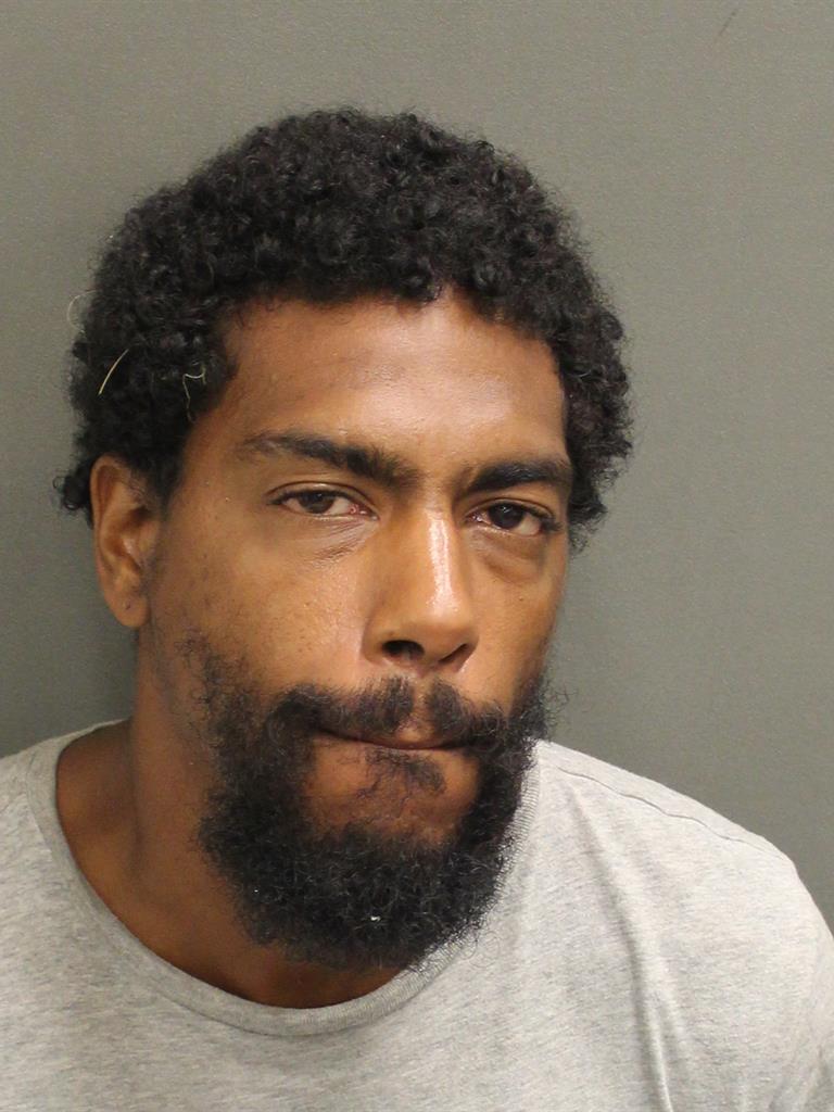  SEAN XAVIER CHILDS Mugshot / County Arrests / Orange County Arrests