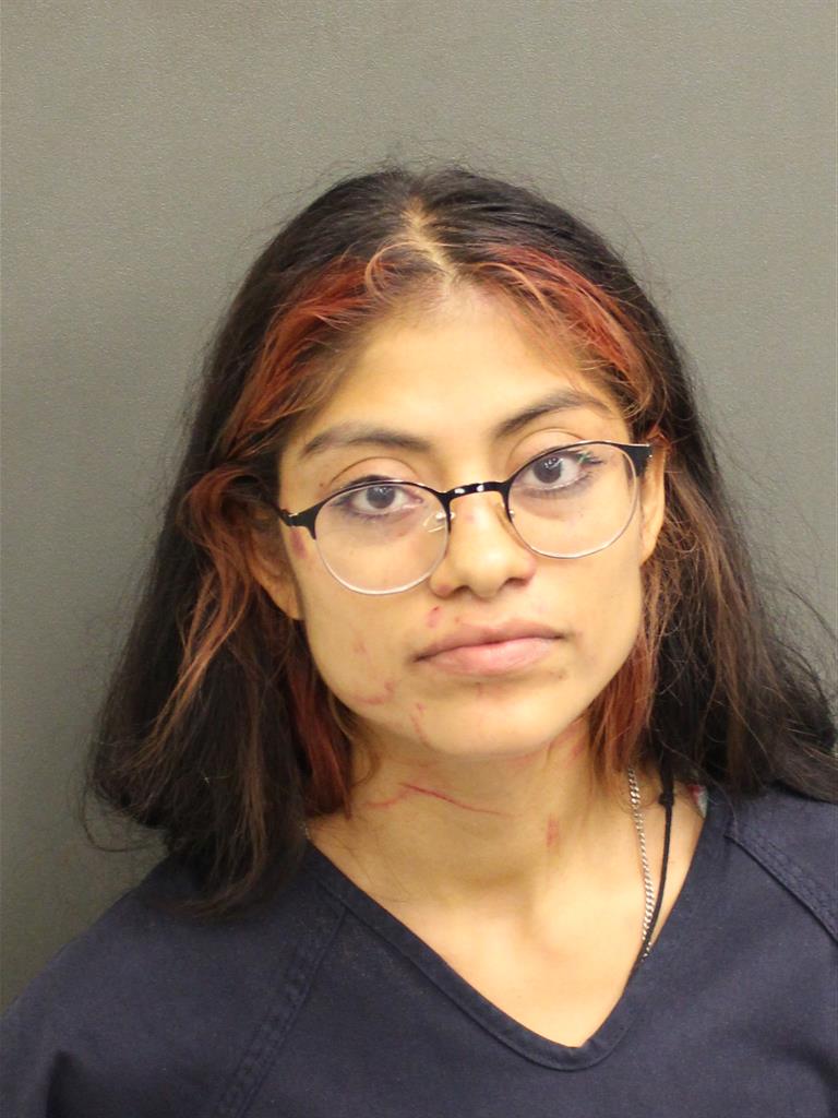  MARIA A SANCHEZNAVARRETE Mugshot / County Arrests / Orange County Arrests