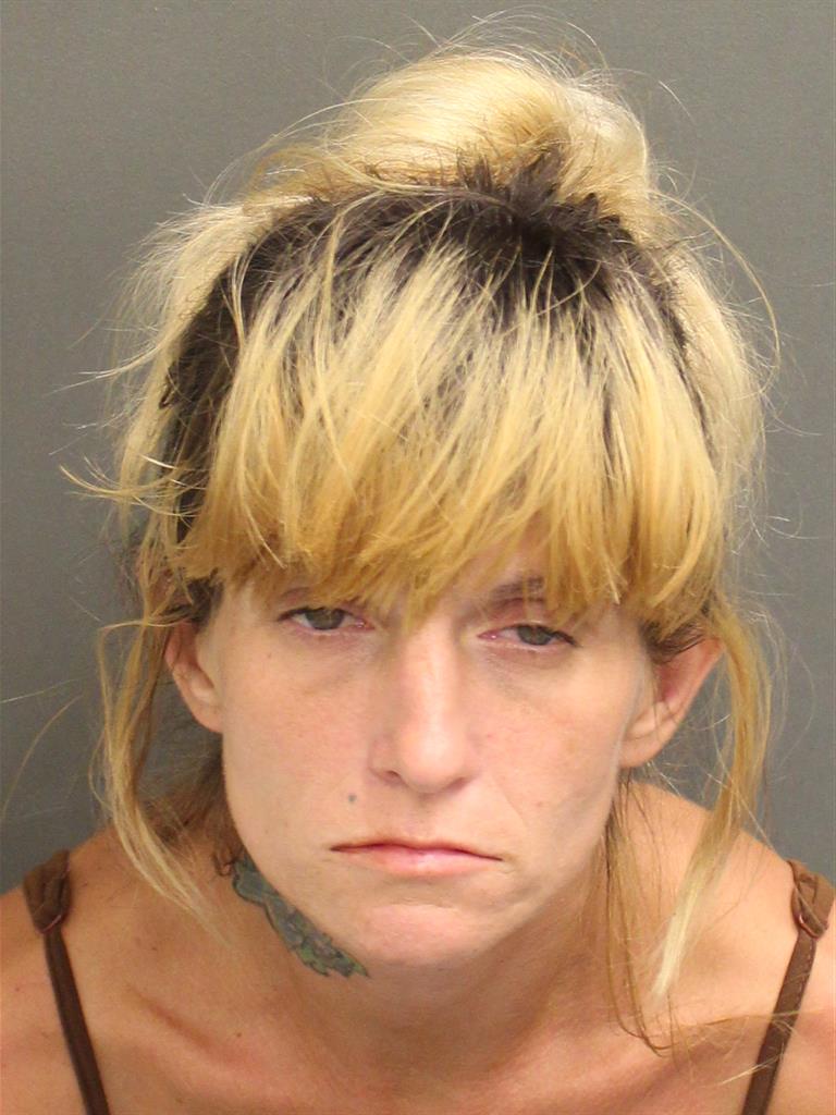  ERIN NICOLE BRASFIELD Mugshot / County Arrests / Orange County Arrests