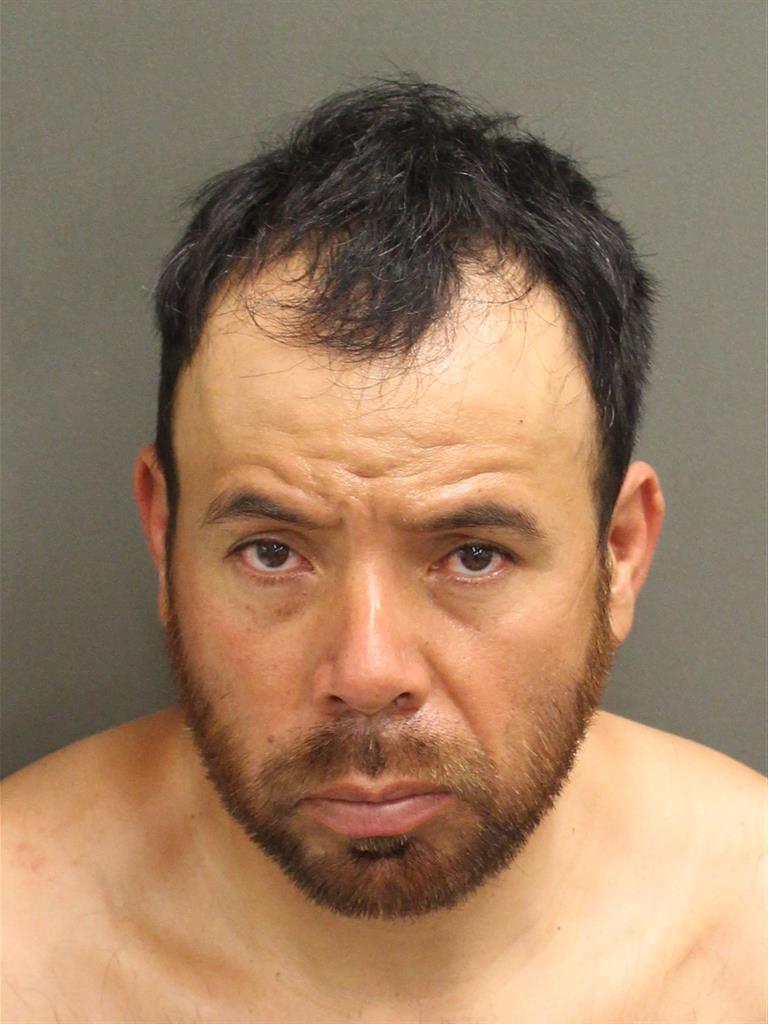  LUIS ALBERTO ORTIZGODINEZ Mugshot / County Arrests / Orange County Arrests