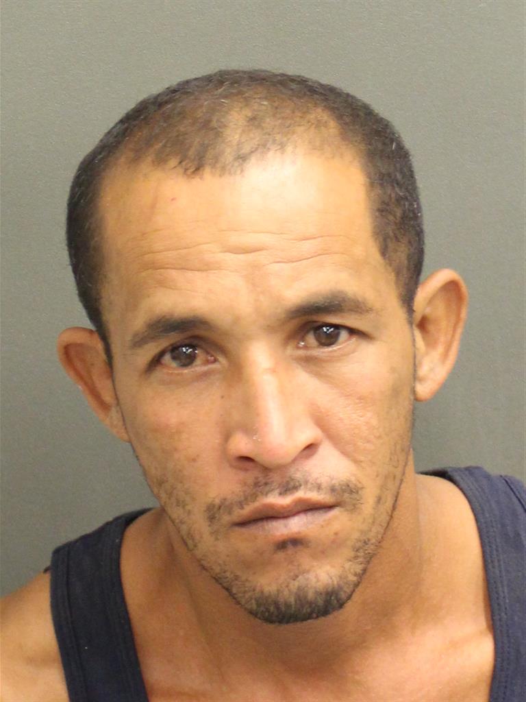  ARISLEYDER REINATORNES Mugshot / County Arrests / Orange County Arrests