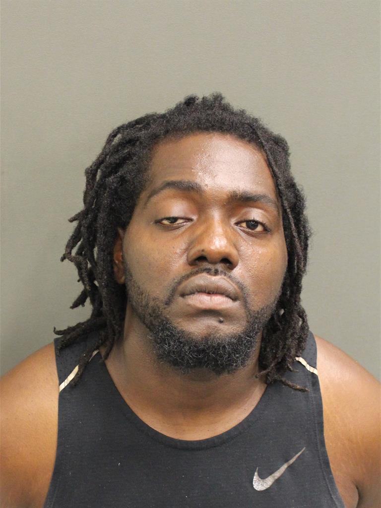  JODEL BORGELLA Photo Image