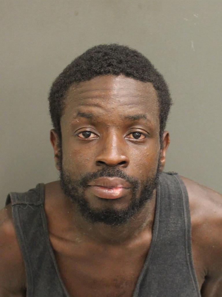  ELDERLY DORMIL Mugshot / County Arrests / Orange County Arrests