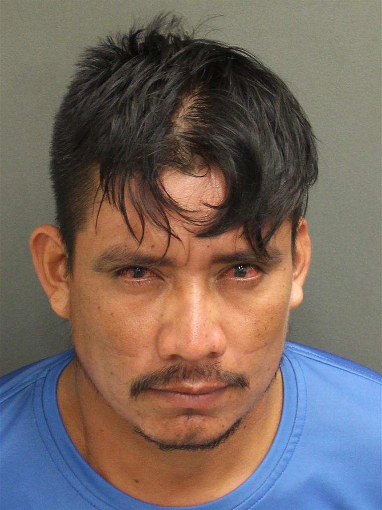  FELIPE DE JE ALDAIR CASTILLORAMIREZ Mugshot / County Arrests / Orange County Arrests