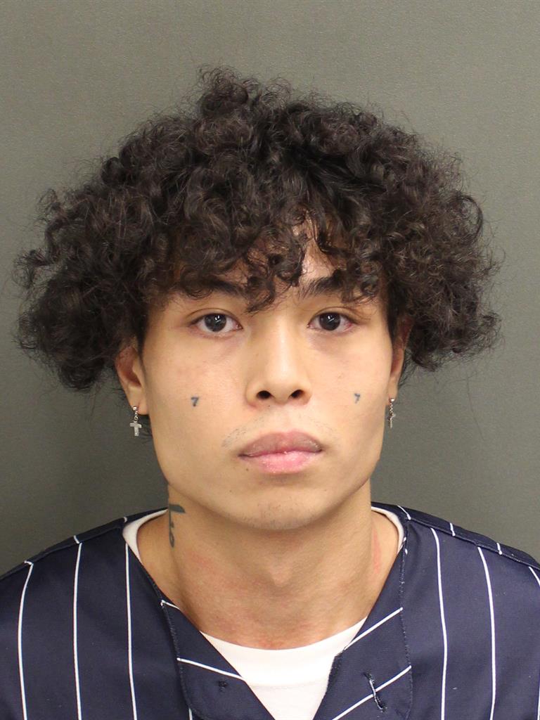 JAY RUDY VILLAVE REYES Mugshot JAY RUDY VILLAVE REYES Mugshot / County Arrests / Orange County Arrests