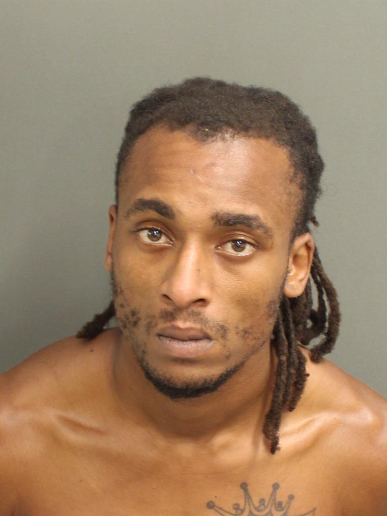  ALPATCHINO JEUNE Photo Image