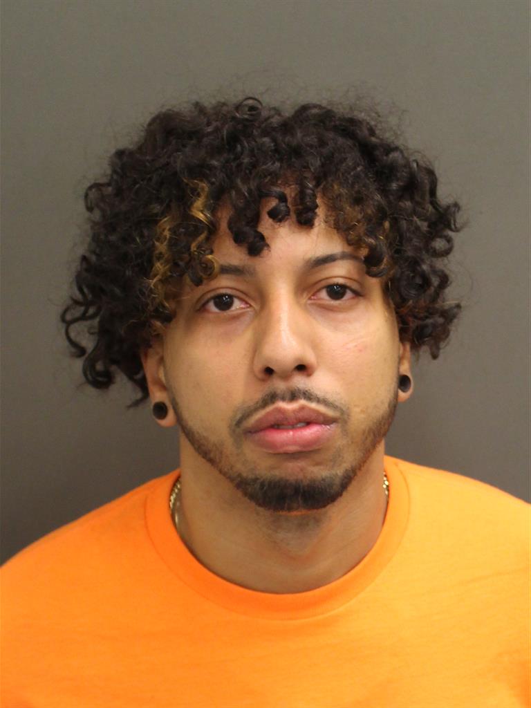  ANGEL GABRIEL PSCHECORIVERA Mugshot / County Arrests / Orange County Arrests