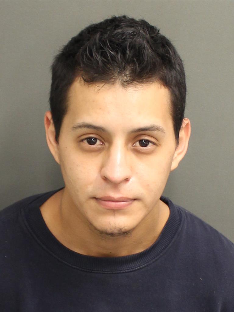  GINO GIOVANI BIBILONI Mugshot / County Arrests / Orange County Arrests