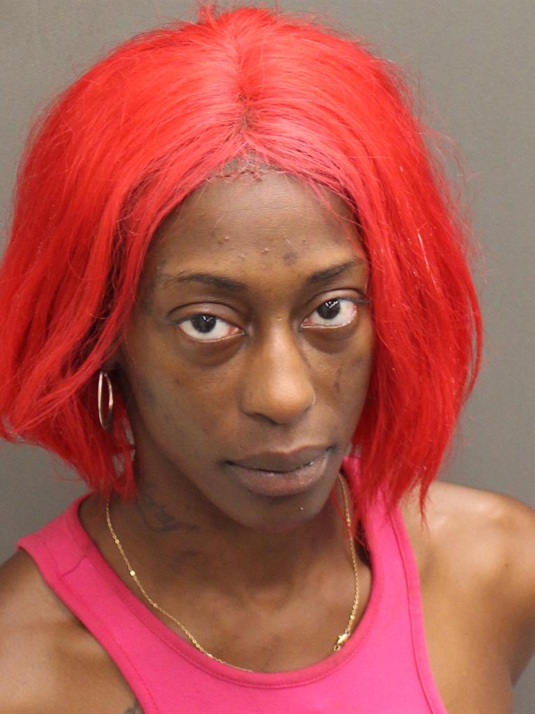  TANTANESHIA LINDALEE WRIGHT Mugshot / County Arrests / Orange County Arrests