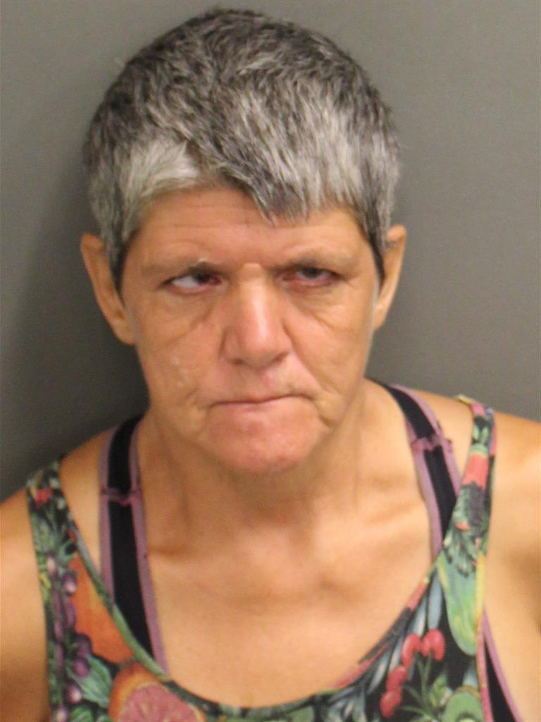  LINDA L BREWER Mugshot / County Arrests / Orange County Arrests