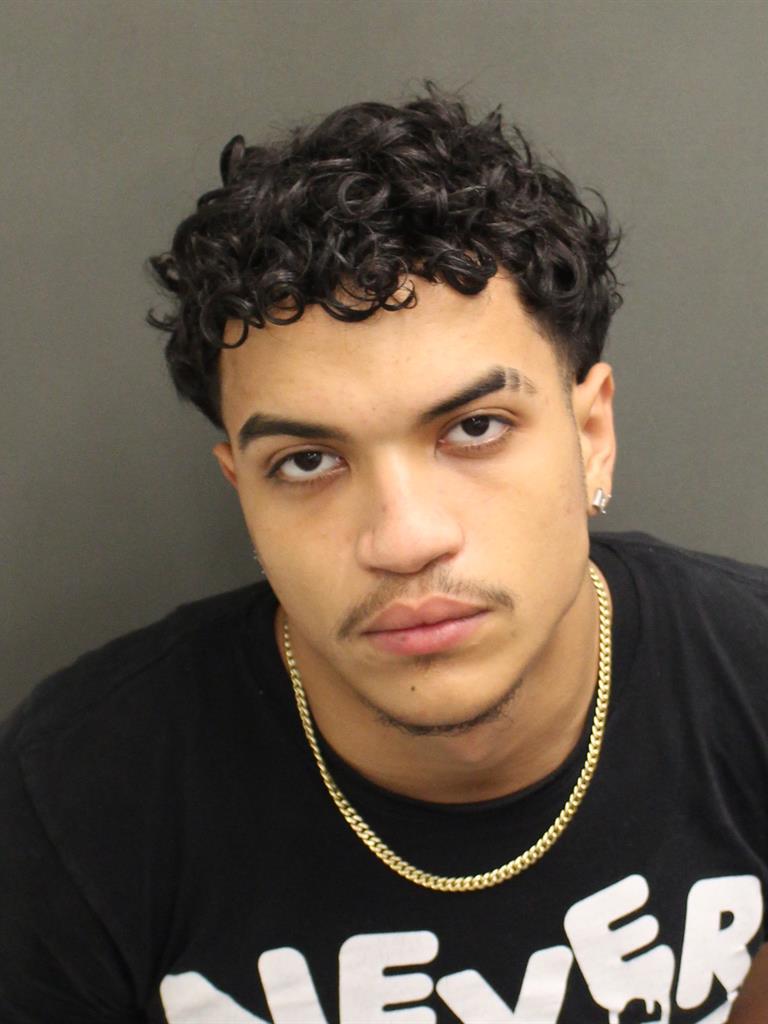  SEBASTIAN ORTOLAZA Mugshot / County Arrests / Orange County Arrests