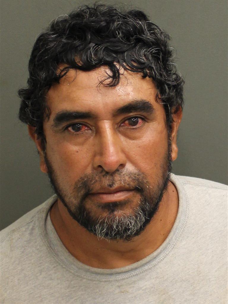  JOSE HUMBERTO RUIZGORDILLO Mugshot / County Arrests / Orange County Arrests