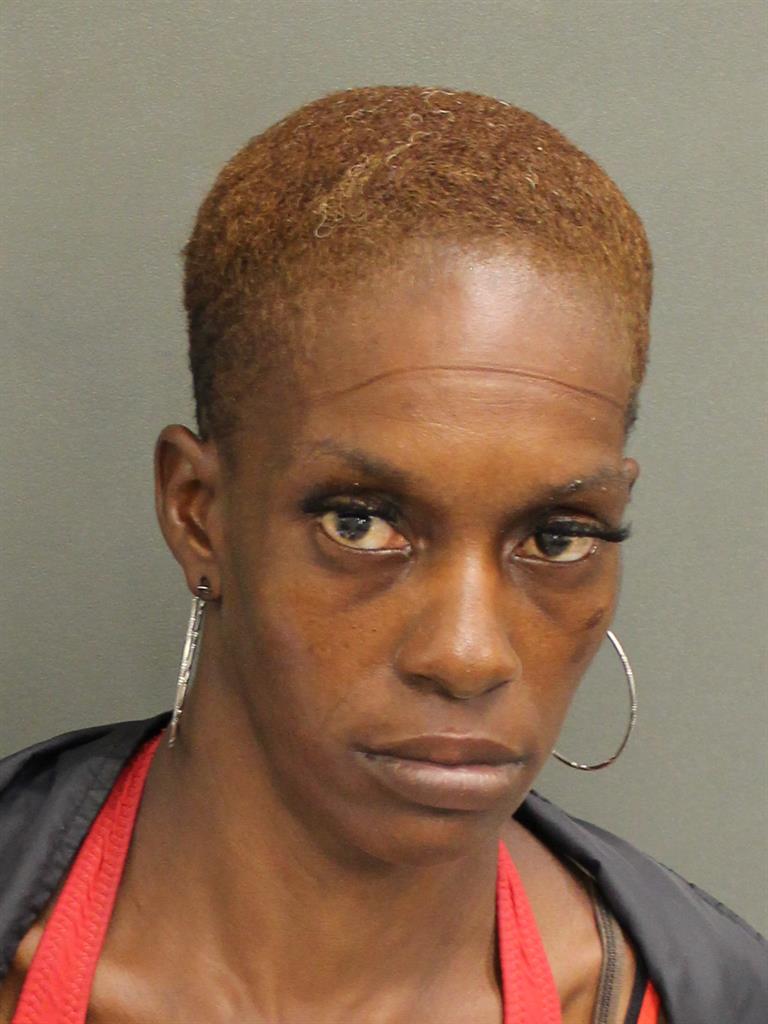  DANIELLE SHEREE COBBINN Mugshot / County Arrests / Orange County Arrests