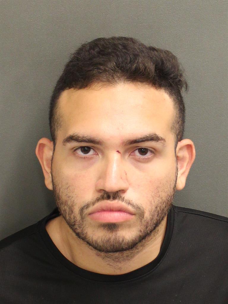  ALEJADRO REYESCHAVEZ Mugshot / County Arrests / Orange County Arrests