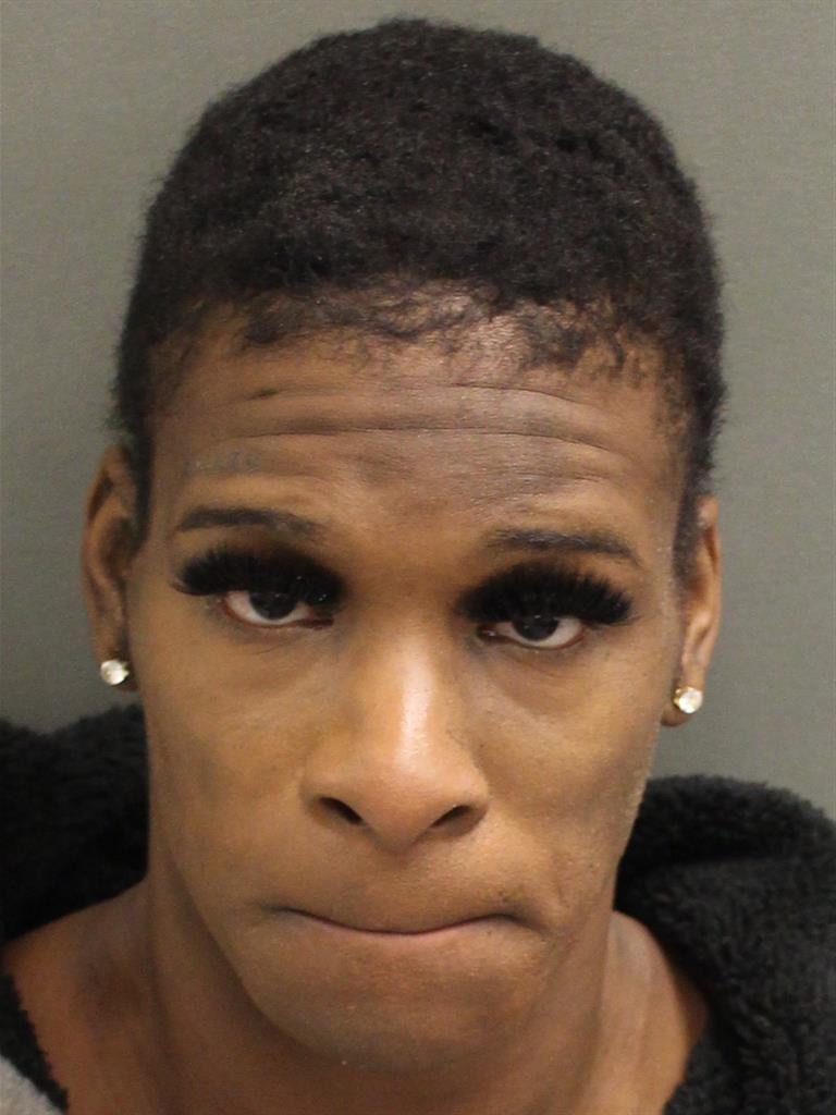  WILLIAM THEODORE MATTHEWS Mugshot / County Arrests / Orange County Arrests