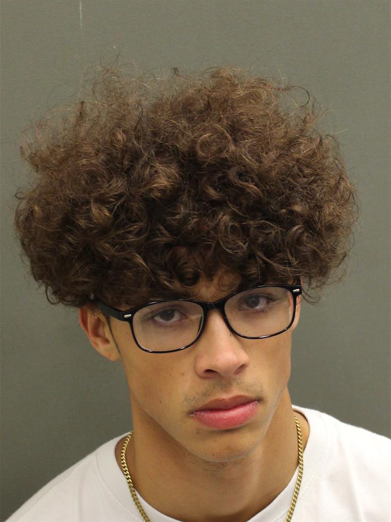 SHAUN MICHAEL JR DIEHL Mugshot SHAUN MICHAEL JR DIEHL Mugshot / County Arrests / Orange County Arrests