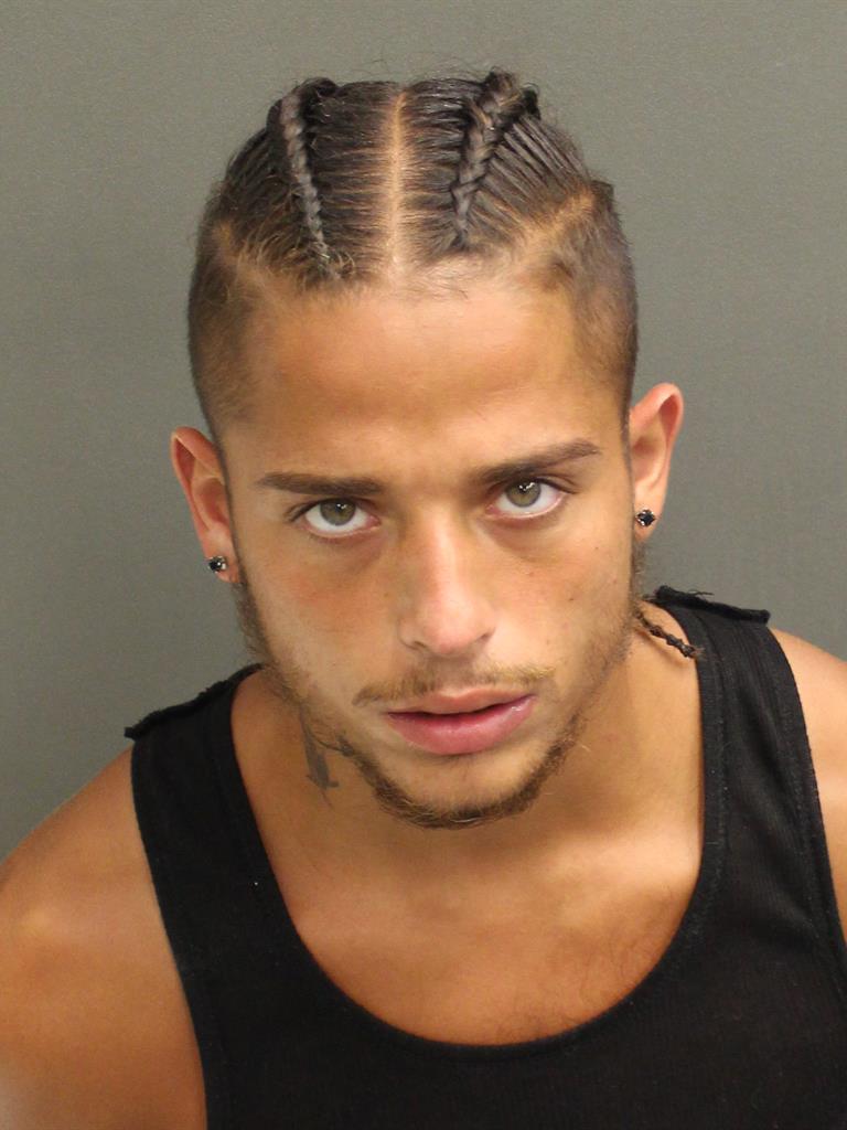  CHRISTOPHER LANDEN ARROYO Mugshot / County Arrests / Orange County Arrests