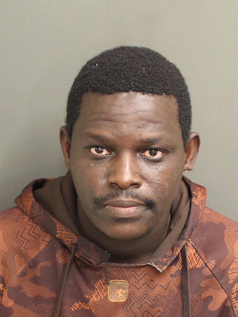  ADEDAYO V BALOYE Mugshot / County Arrests / Orange County Arrests